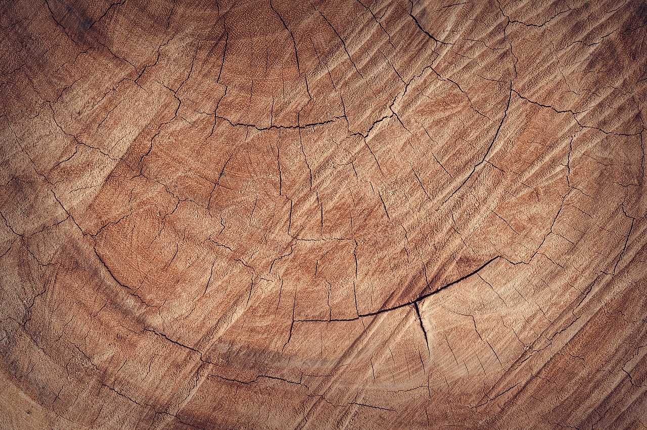 wood, floor, backdrop-1866659.jpg